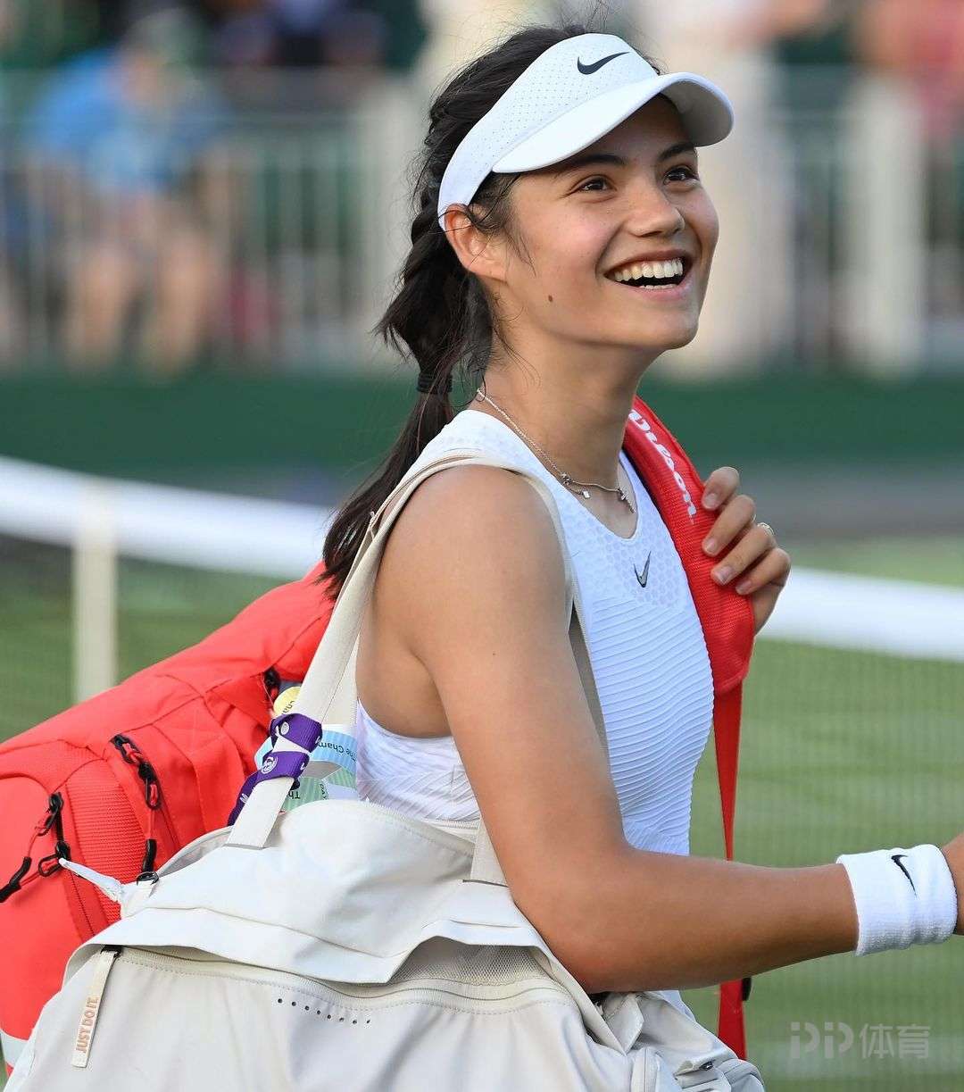 以及公众意 以及公众意