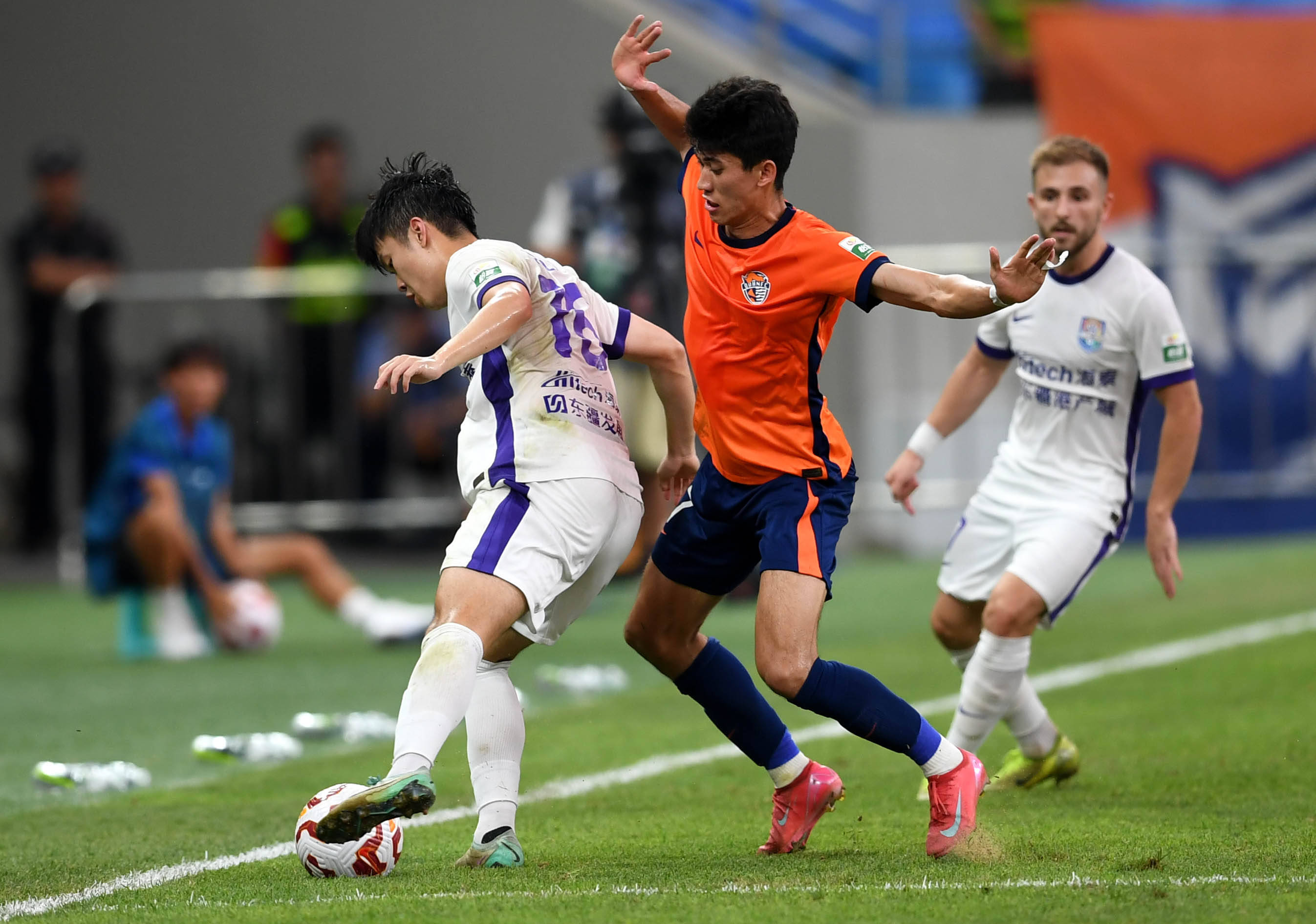 布他今年不 布他今年不